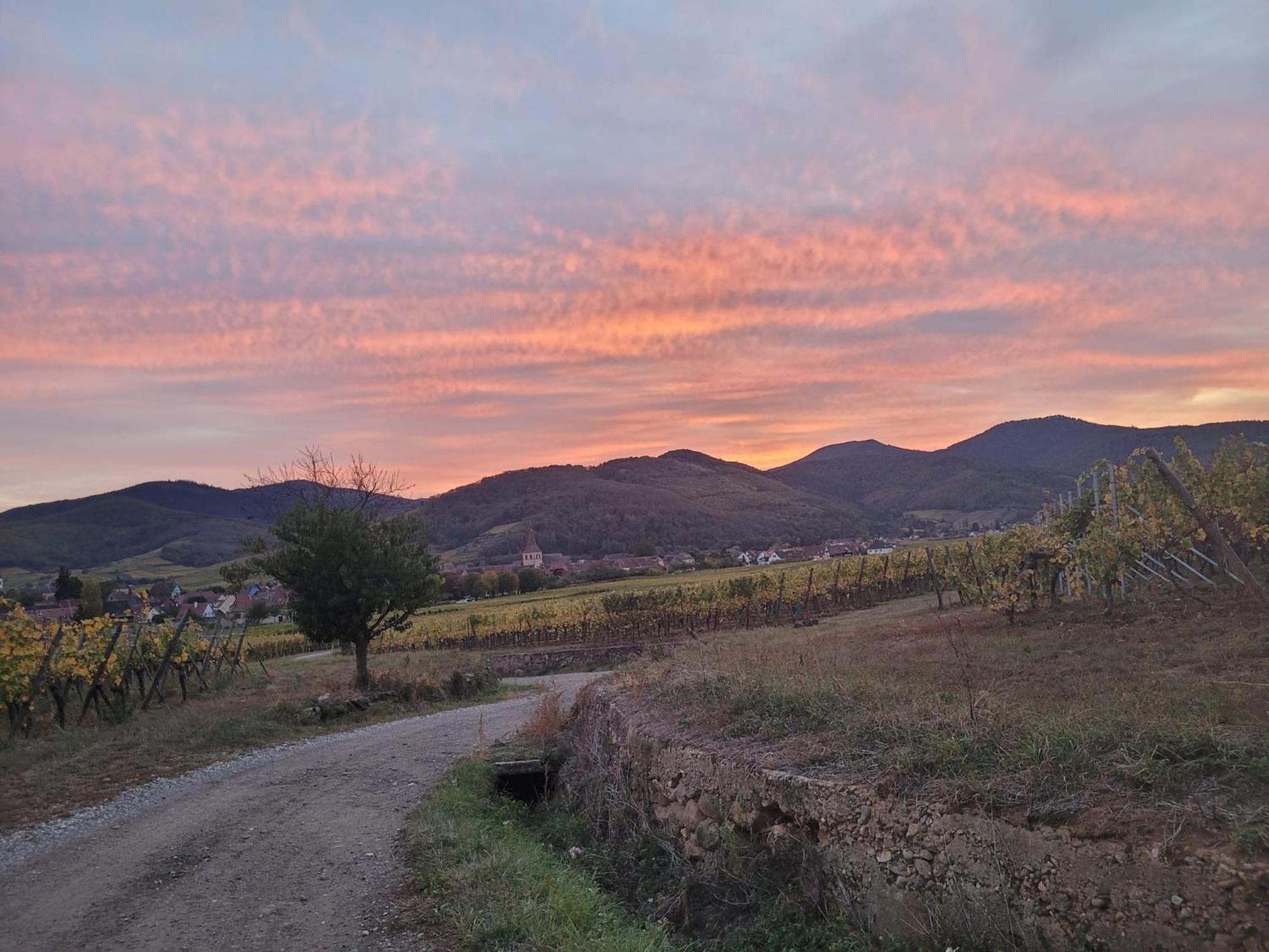 Naova Cosy Studio Kaysersberg-Vignoble Exteriér fotografie