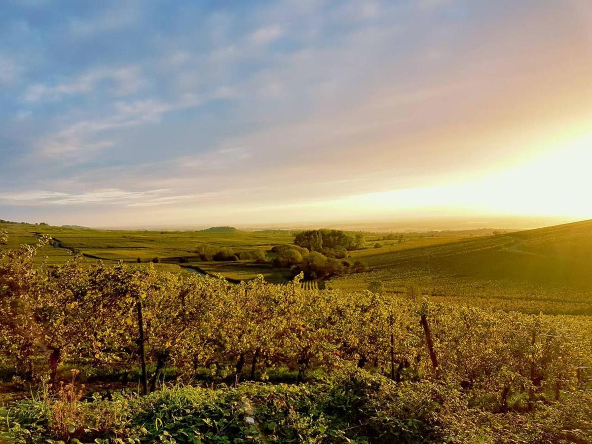 Naova Cosy Studio Kaysersberg-Vignoble Exteriér fotografie